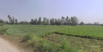 Tanda, Uttar Pradesh 244925, India preview 2
