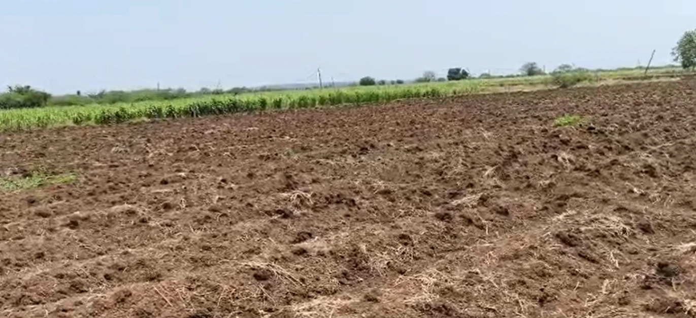8C54+8VV, Adilabad, Anduru, Neradigonda 2, Telangana 504323, India