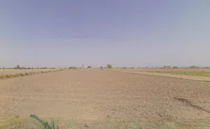 Kharbala, Haryana 125042, India preview 2