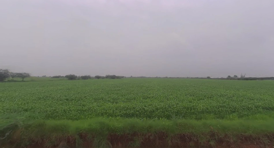 Kekri, Rajasthan 305404, India