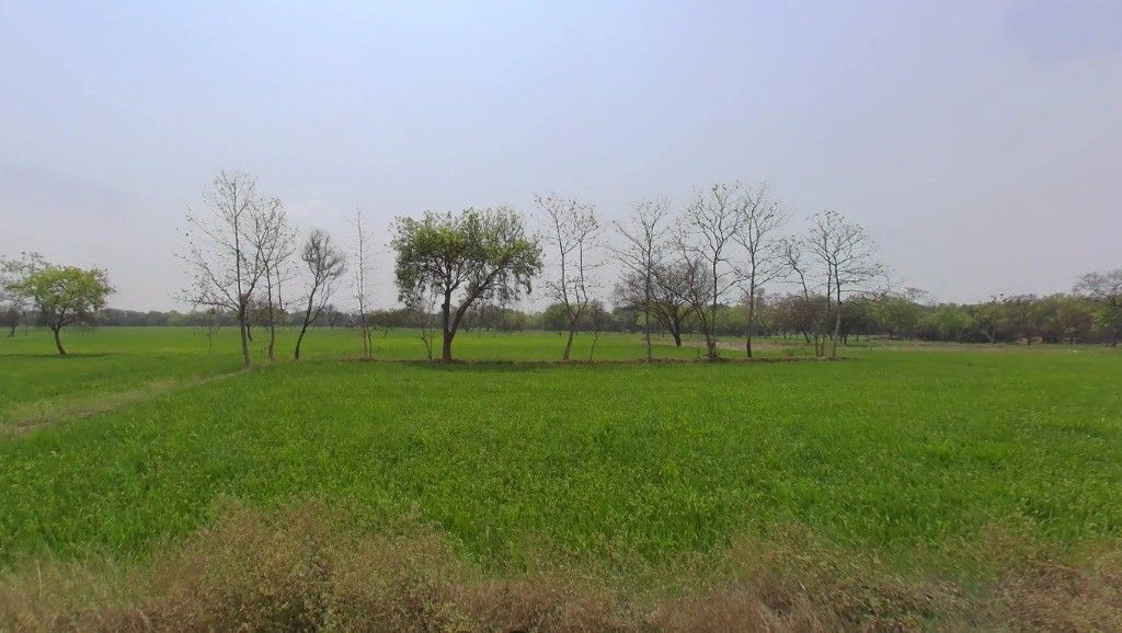 Jhulna, Chhattisgarh, India