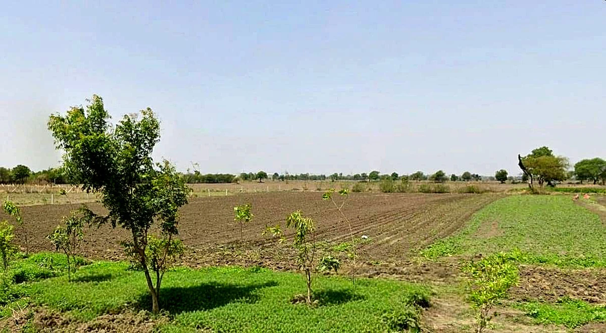 Badgaon, Madhya Pradesh 456443, India