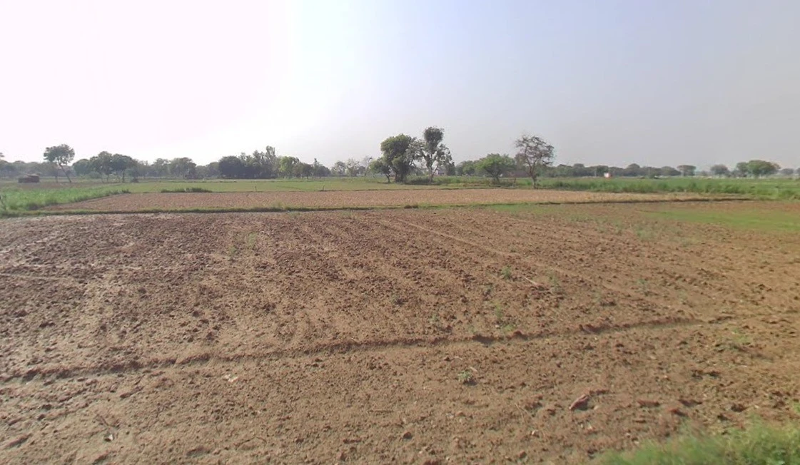 Ronsara, Madhya Pradesh 487330, India