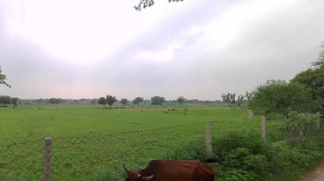 Pali, Rajasthan 306401, India