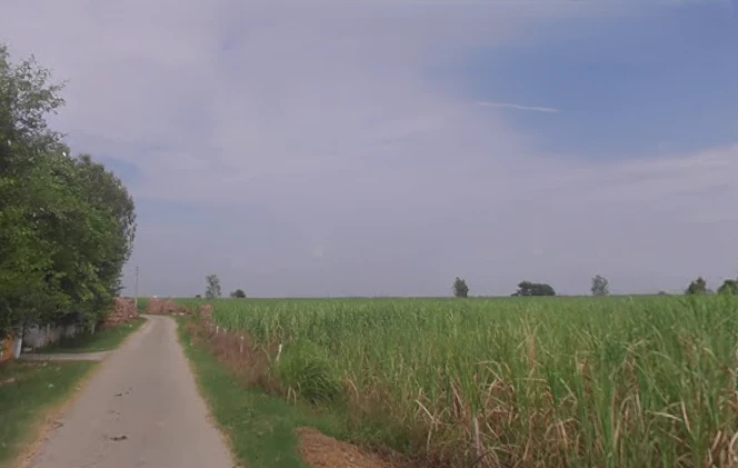 Garh Mukteshwar, Uttar Pradesh 245205, India