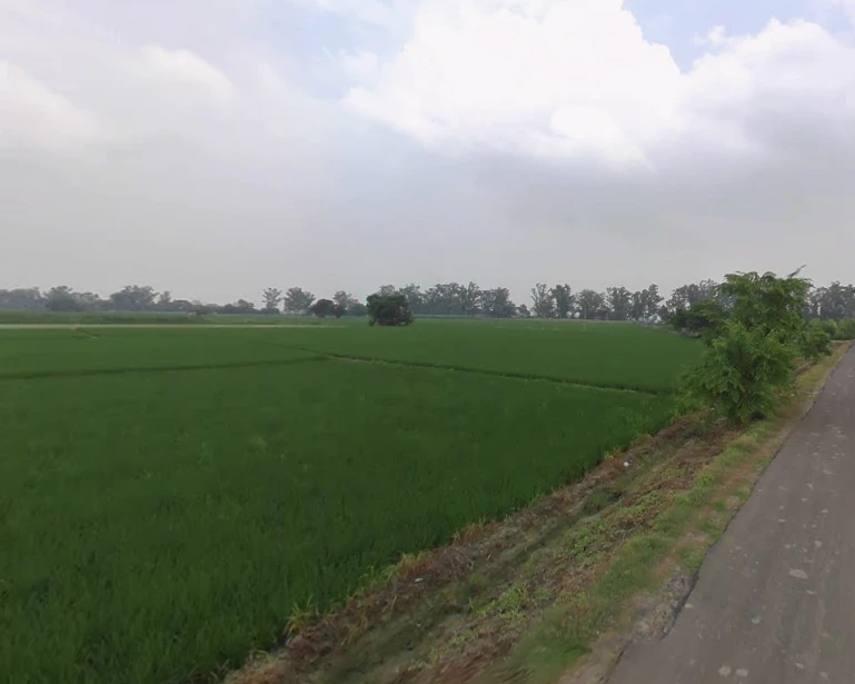 Zirakpur, Punjab, India