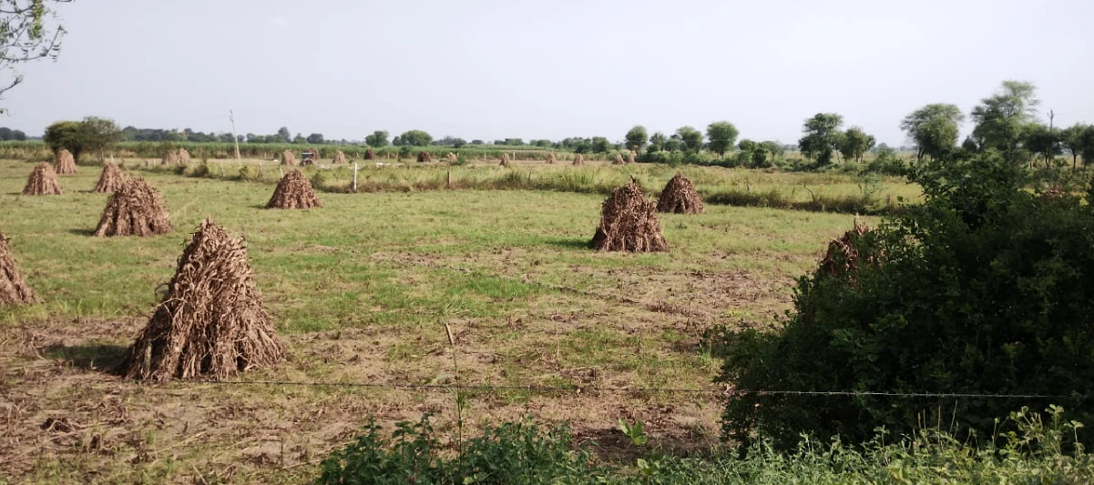 todi mod, A-5/26 new, Sikar Rd, transport nagar, Jaipur, Rajasthan 303805, India