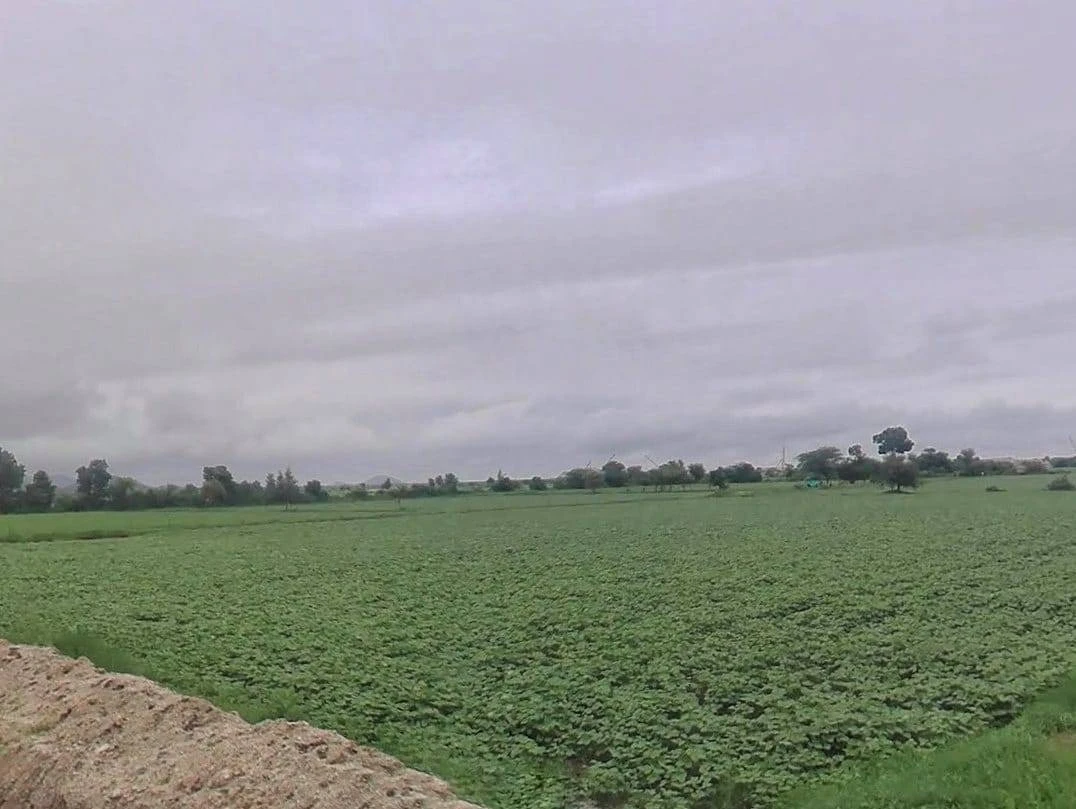 J56J+XM Bala, Rajasthan, India