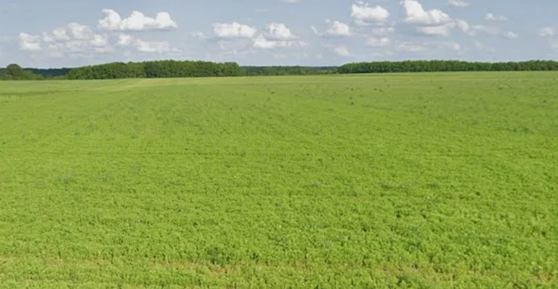 Nayapura, Madhya Pradesh 464551, India preview 3