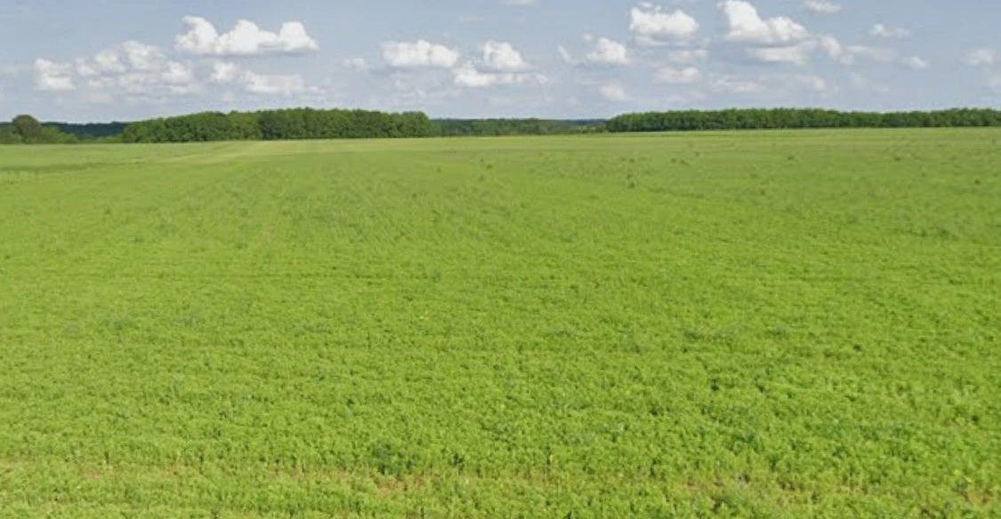 Nayapura, Madhya Pradesh 464551, India