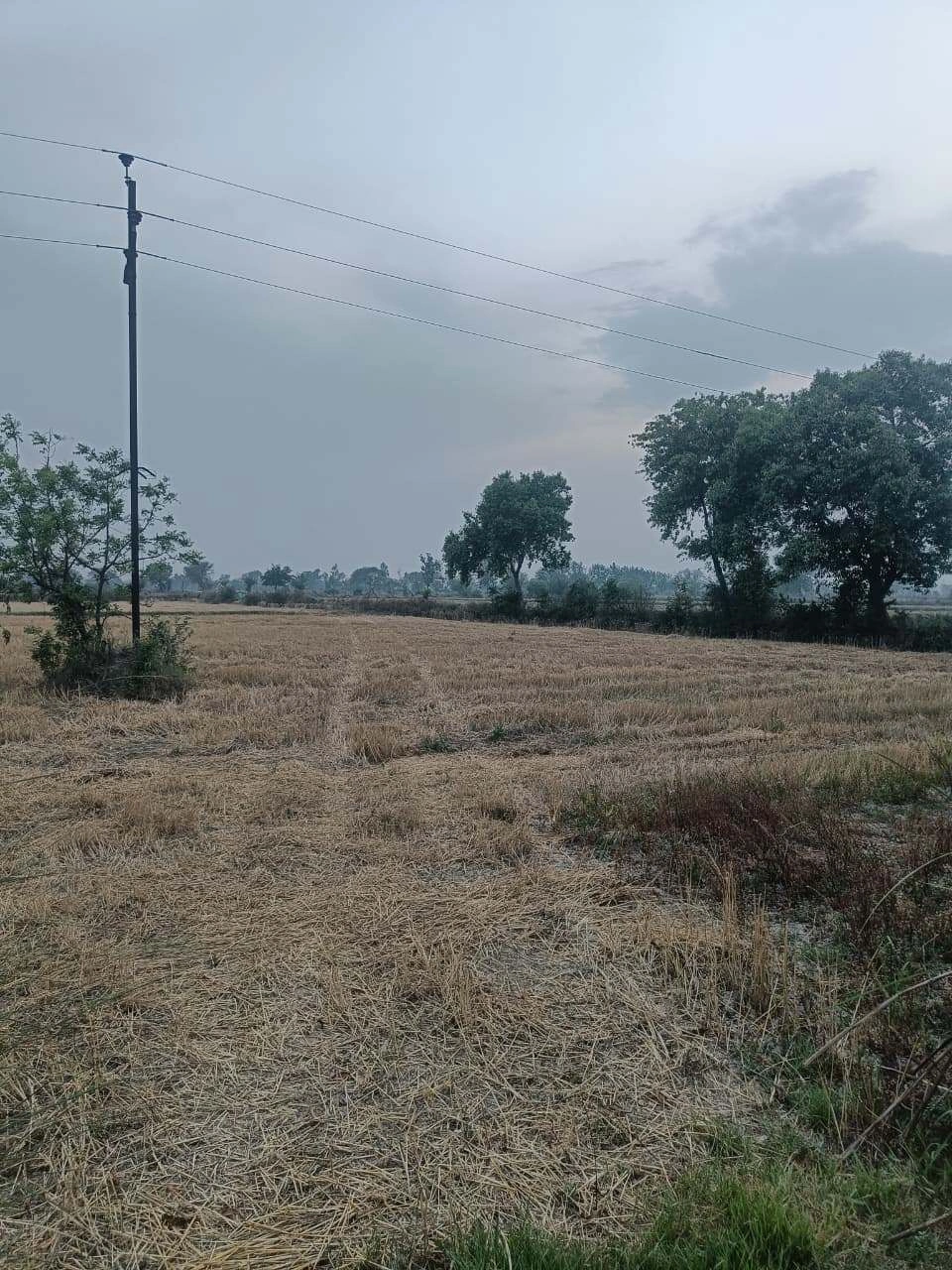 Arjansar, Rajasthan 334604, India