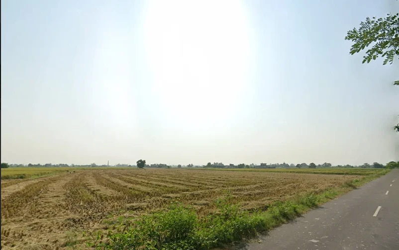 Ghanaur, Punjab 140702, India