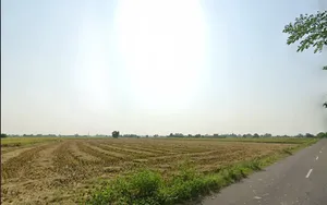 Ghanaur, Punjab 140702, India preview 2