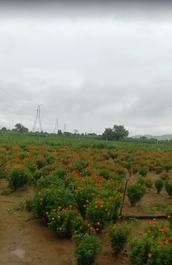 Mundawar, Rajasthan