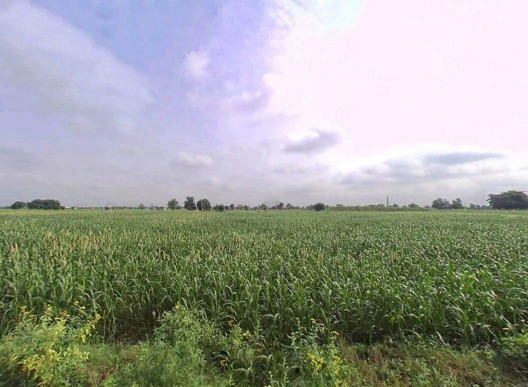 4562+WQF, NH 21, Halena, Rajasthan 321601, India