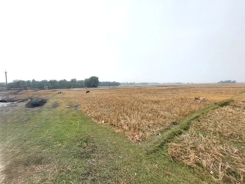 Srijangram Circle, Assam, India preview 2