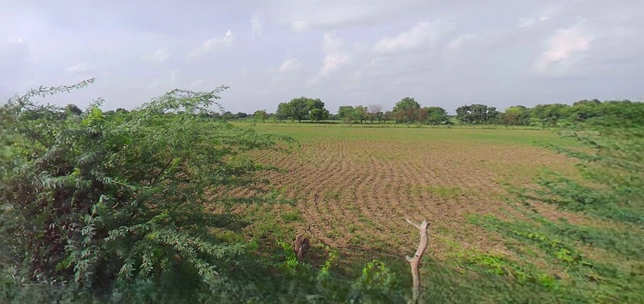 Barnagar, Madhya Pradesh 456771, India