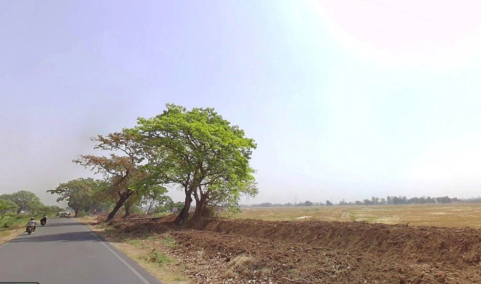 Ibrahimpur, Bihar 801109, India