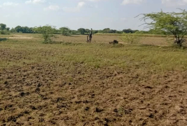 Nawagaon, Chhattisgarh 492101, India