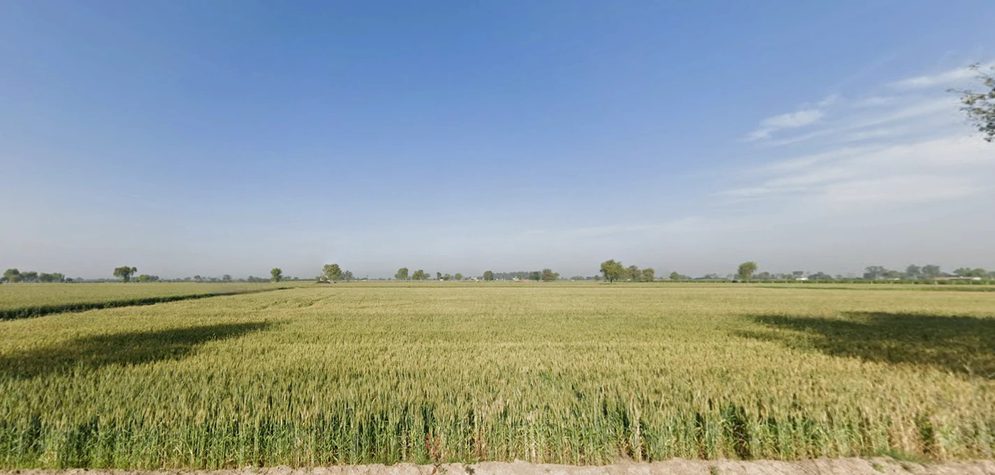Shahpur, Haryana 132107, India