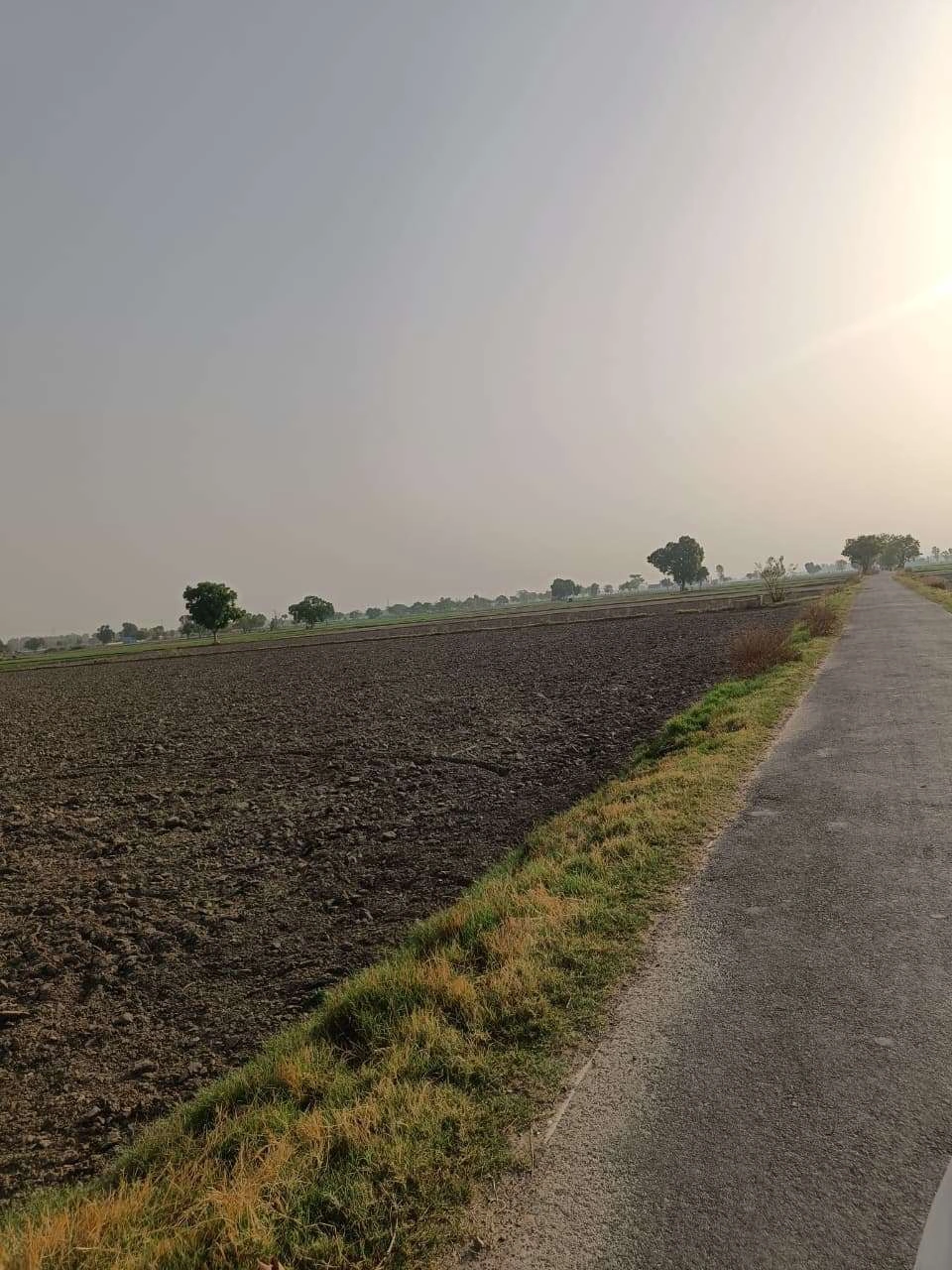 Tentigaon, Uttar Pradesh, India