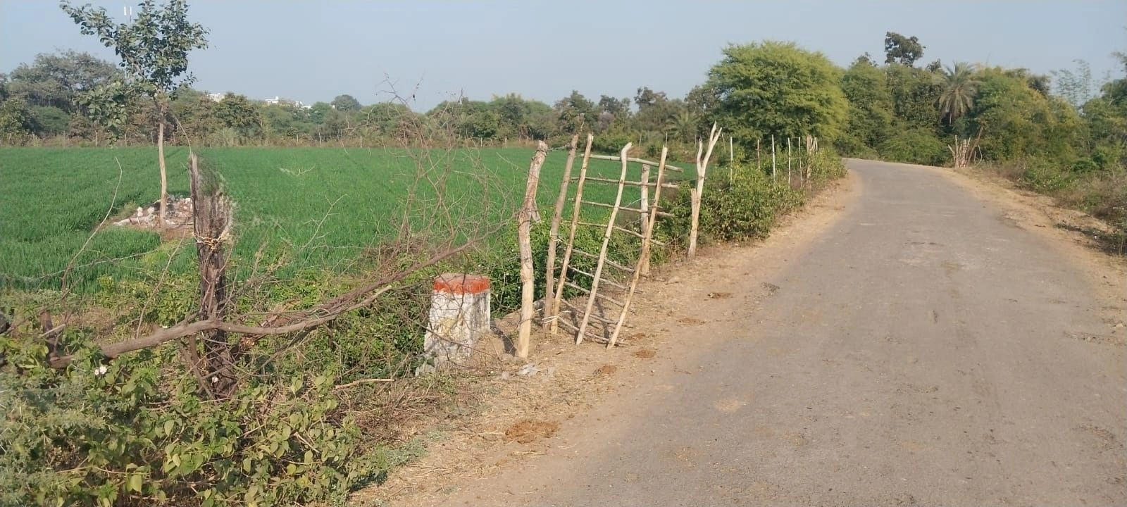 FQMF+55Q, Mandsaur, Khajurna, Madhya Pradesh 458778, India