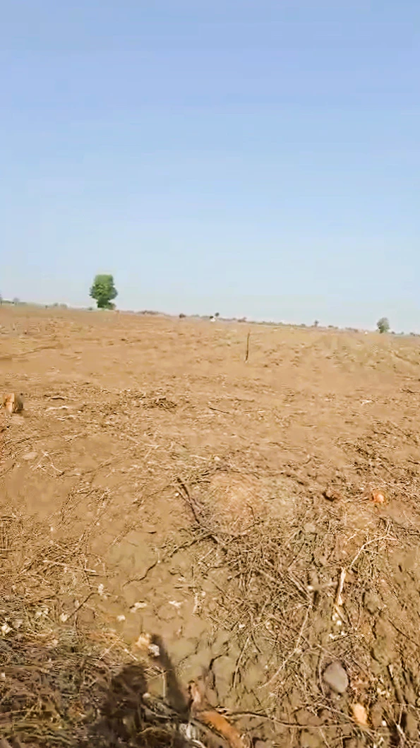7X85+3XC, Kuharwas, Rajasthan 333034, India