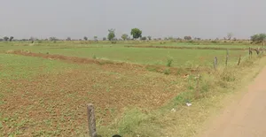 Bahediya, Madhya Pradesh 464651, India preview 2