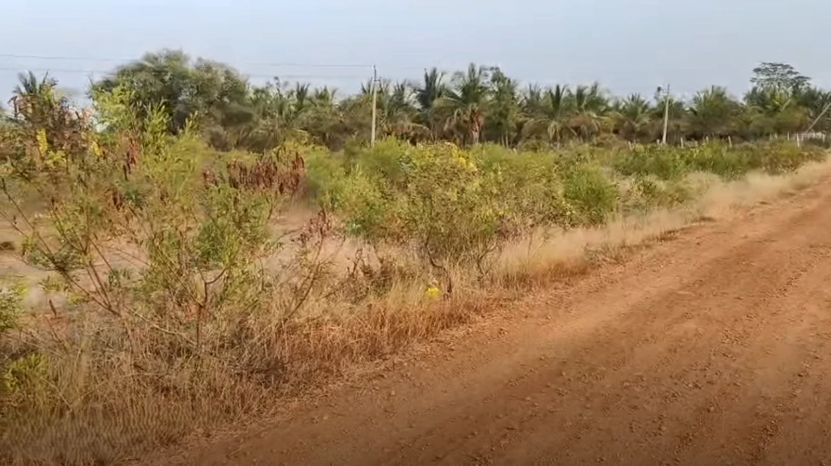 Ganadahunase, Karnataka 572115, India