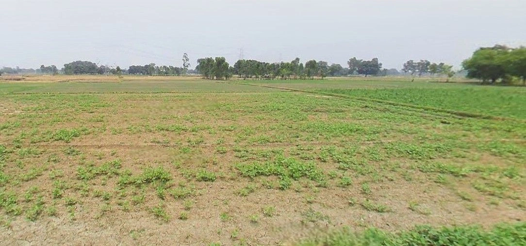 Purwa, Uttar Pradesh, India preview 3