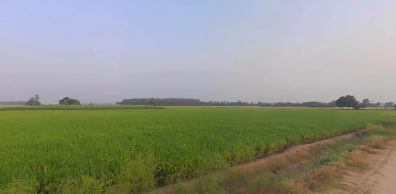 Ludhiana, Punjab, India preview 2