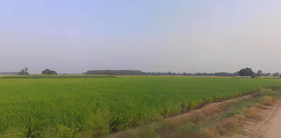 Ludhiana, Punjab, India preview 2