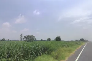 Sarai, Uttar Pradesh 251309, India preview 2