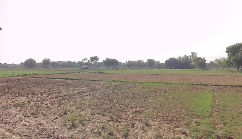 Ronsara, Madhya Pradesh 487330, India preview 3