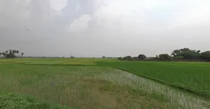 Sarmera, Bihar 811104, India preview 3