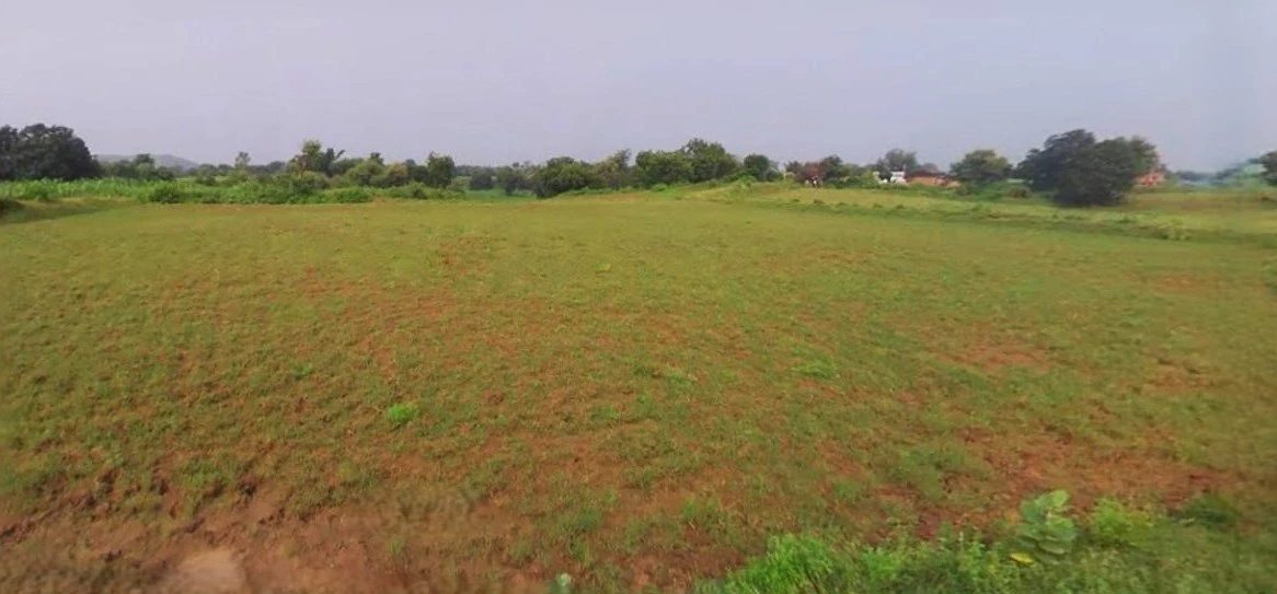 Barnagar, Madhya Pradesh 456771, India