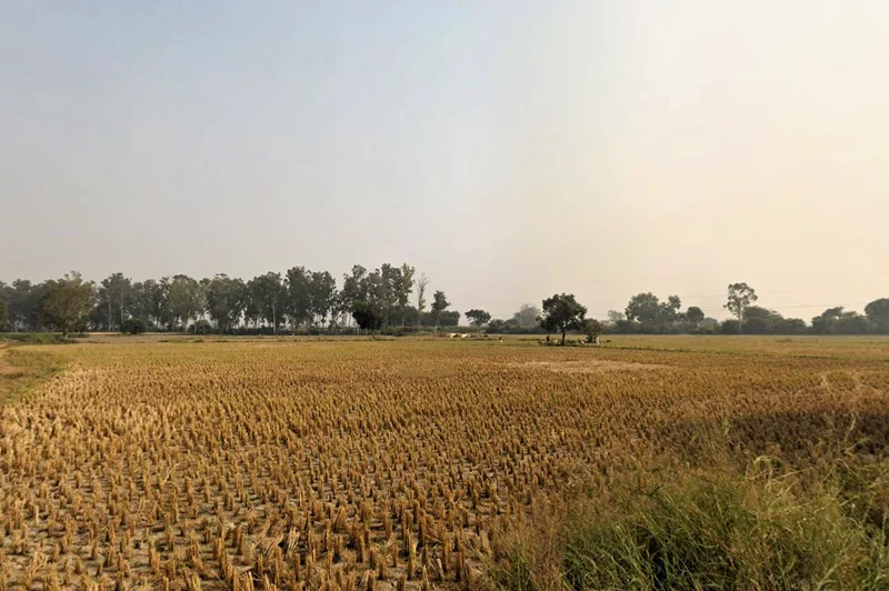 Rohtak, Haryana, India preview 2