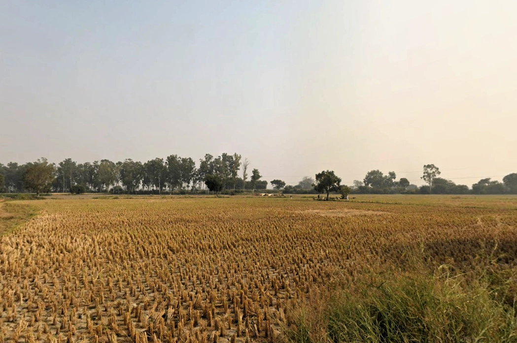 Rohtak, Haryana, India