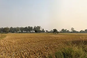 Rohtak, Haryana, India preview 2
