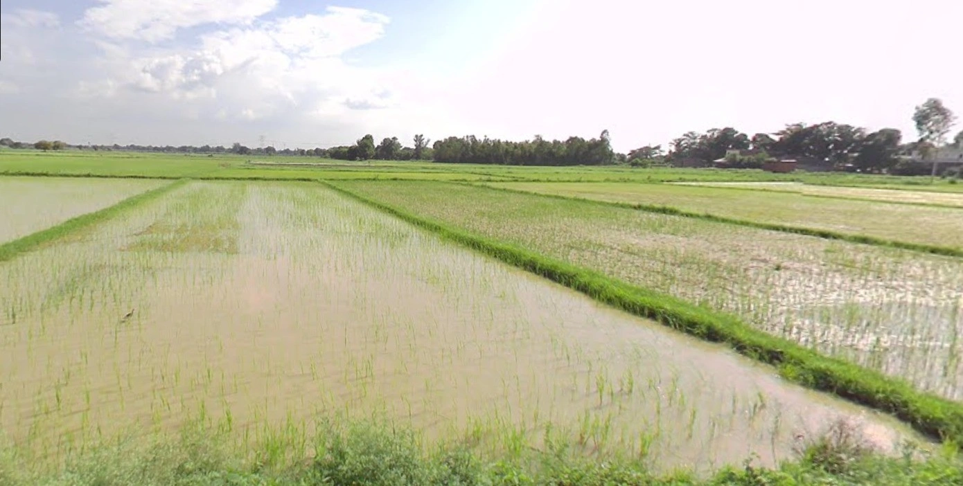 Khemasa, Madhya Pradesh, India