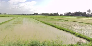 Khemasa, Madhya Pradesh, India preview 2