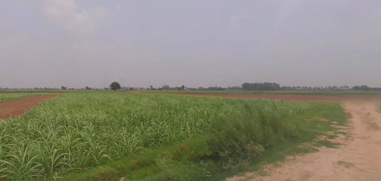 Kharar, Punjab 140301, India