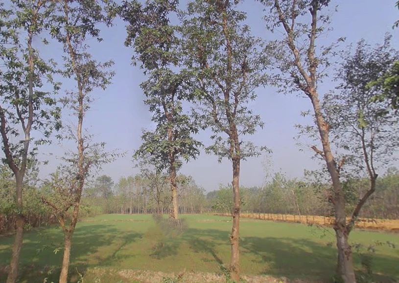 Behat Dehat, Uttar Pradesh 247121, India
