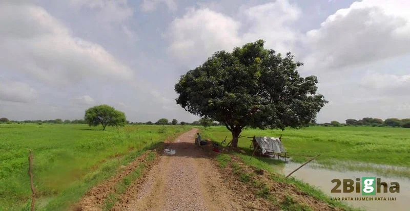 Chhatarpur, Madhya Pradesh 471001, India preview 2