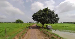 Chhatarpur, Madhya Pradesh 471001, India preview 2