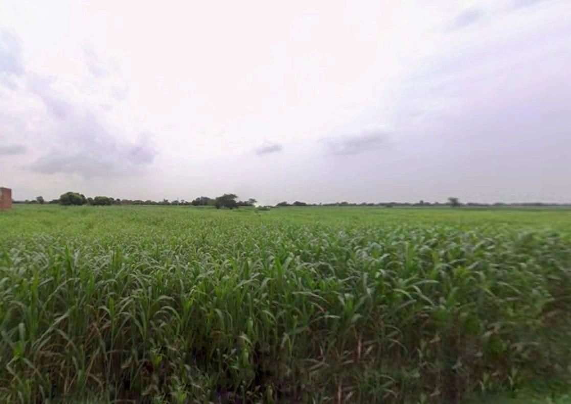 H2WC+Q5W, Boodli, Rajasthan 321024, India preview 3