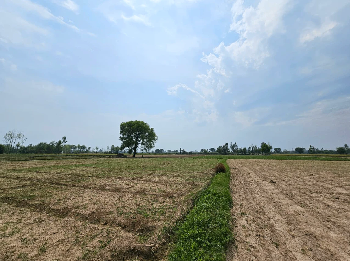 7659+6V Dhamaniya, Bhopal, Madhya Pradesh, India
