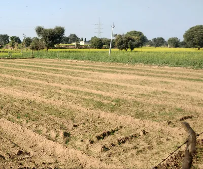 Sojana, Vidisha, Madhya Pradesh 464114, India preview 2