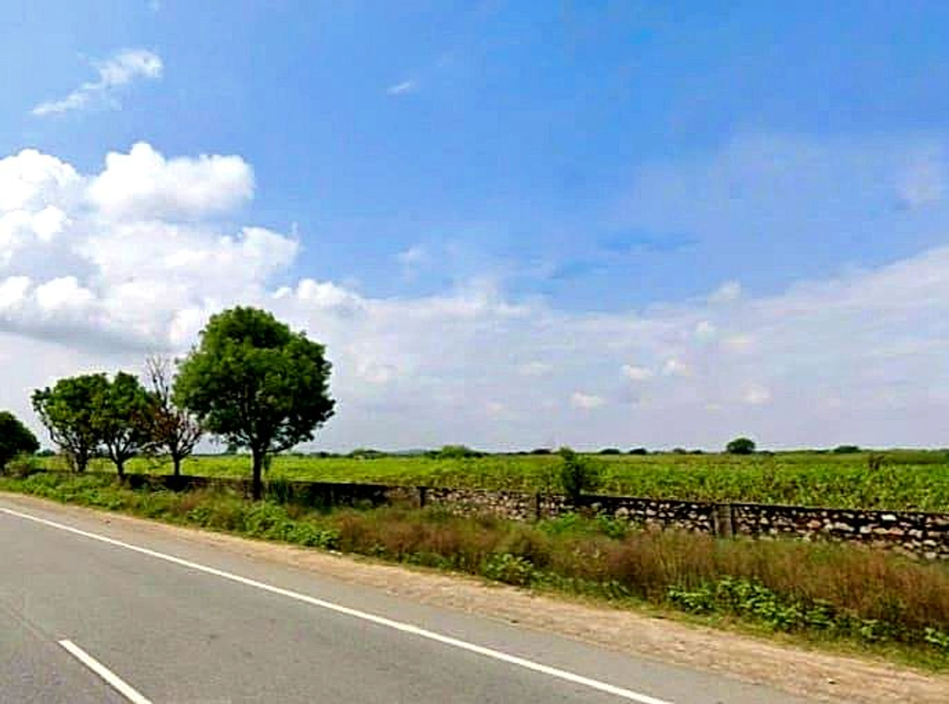 Shahpura, Rajasthan 303103, India