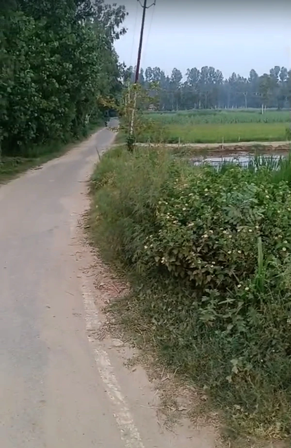 580, Jalilpur, Uttar Pradesh 246725, India